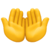 Beide handpalmen omhoog - Facebook