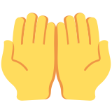 Beide handpalmen omhoog - Twitter / X