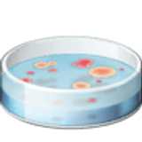 Petrischaal - Facebook