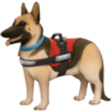 Assistentiehond - Facebook