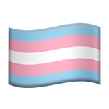 transgendervlag