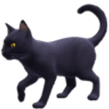 Zwarte kat - Facebook