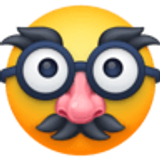 Vermomd gezicht - Facebook