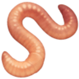 Worm - Facebook