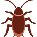 Kakkerlak - Twitter / X