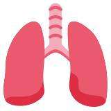 Longen - Twitter / X