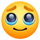 Gezicht dat tranen tegenhoudt - Facebook