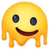 Smeltend gezicht - Facebook