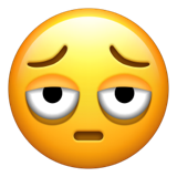 Emoji met tranenzakken U+1FAE9