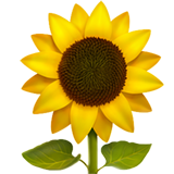 Zonnebloem emoji