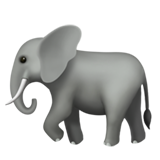 Olifant