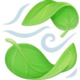 Blad in de wind - Facebook