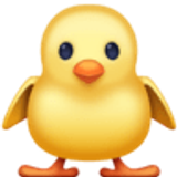 Naar voren kijkend kuikentje - Facebook