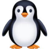 Pinguïn - Facebook