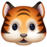 Tijgergezicht - Facebook