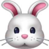 Konijnengezicht - Facebook