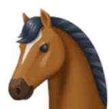 Paardengezicht - Facebook