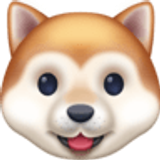 Hondengezicht - Facebook