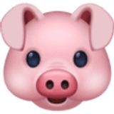 Varkensgezicht - Facebook