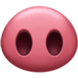 Varkensneus - Facebook