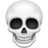 Schedel - Facebook