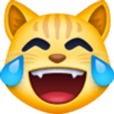 Kat met tranen van vreugde - Facebook