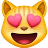 Lachende kat met hartvormige ogen - Facebook