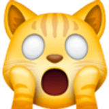 Vermoeide kat - Facebook