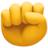 Opgeheven vuist - Facebook