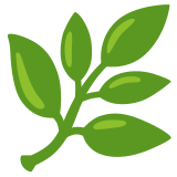 Kruid - Noto Color Emoji