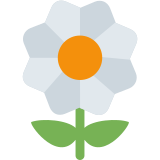 Bloesem - Twitter / X