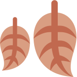 Vallende bladeren - Twitter / X