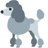 Poedel - Twitter / X