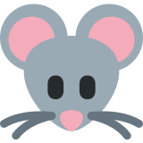 Muizengezicht - Twitter / X