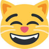 Grijnzende kat met lachende ogen - Twitter / X