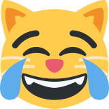 Kat met tranen van vreugde - Twitter / X