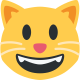 Grijnzende kat - Twitter / X