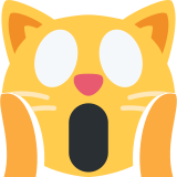 Vermoeide kat - Twitter / X