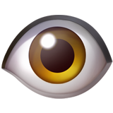 Oog