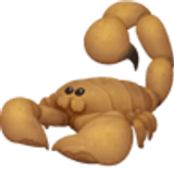 Schorpioen - Facebook