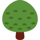 Loofboom - Twitter / X