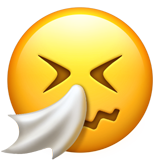 Niezend gezicht emoji