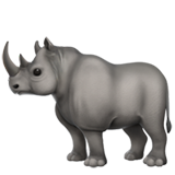 Neushoorn