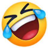 Gezicht dat op de grond rolt van het lachen - Facebook