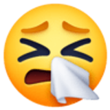 Niezend gezicht - Facebook