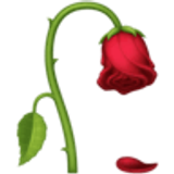 Verwelkte bloem - Facebook