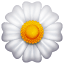 Witte bloem emoji U+1F33C Witte bloem emoji U+1F33C