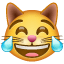 Kat met vreugdetranen U+1F639 Kat met vreugdetranen U+1F639