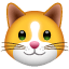 Kattengezicht U+1F431 Kattengezicht U+1F431