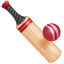 Cricket U+1F3CF Cricket U+1F3CF